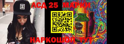 крисы Шахты