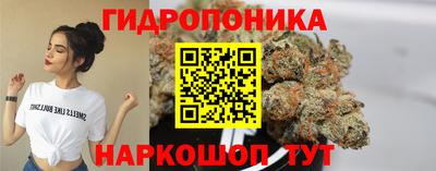 шишки Чебоксары