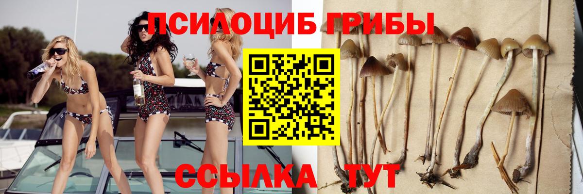 Нововоронеж  Галлюциногенные грибы GOLDEN TEACHER  Вход с VPN 