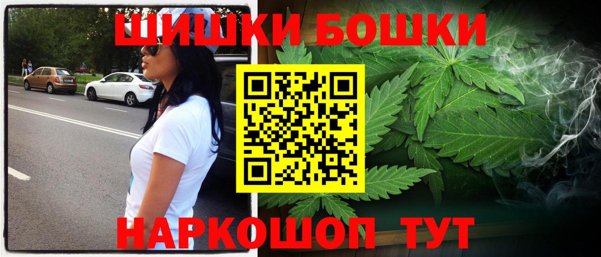 Конопля сатива Нововоронеж